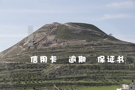 信用卡 逾期 保证书 信用卡 逾期 保证书